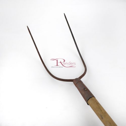 Riek