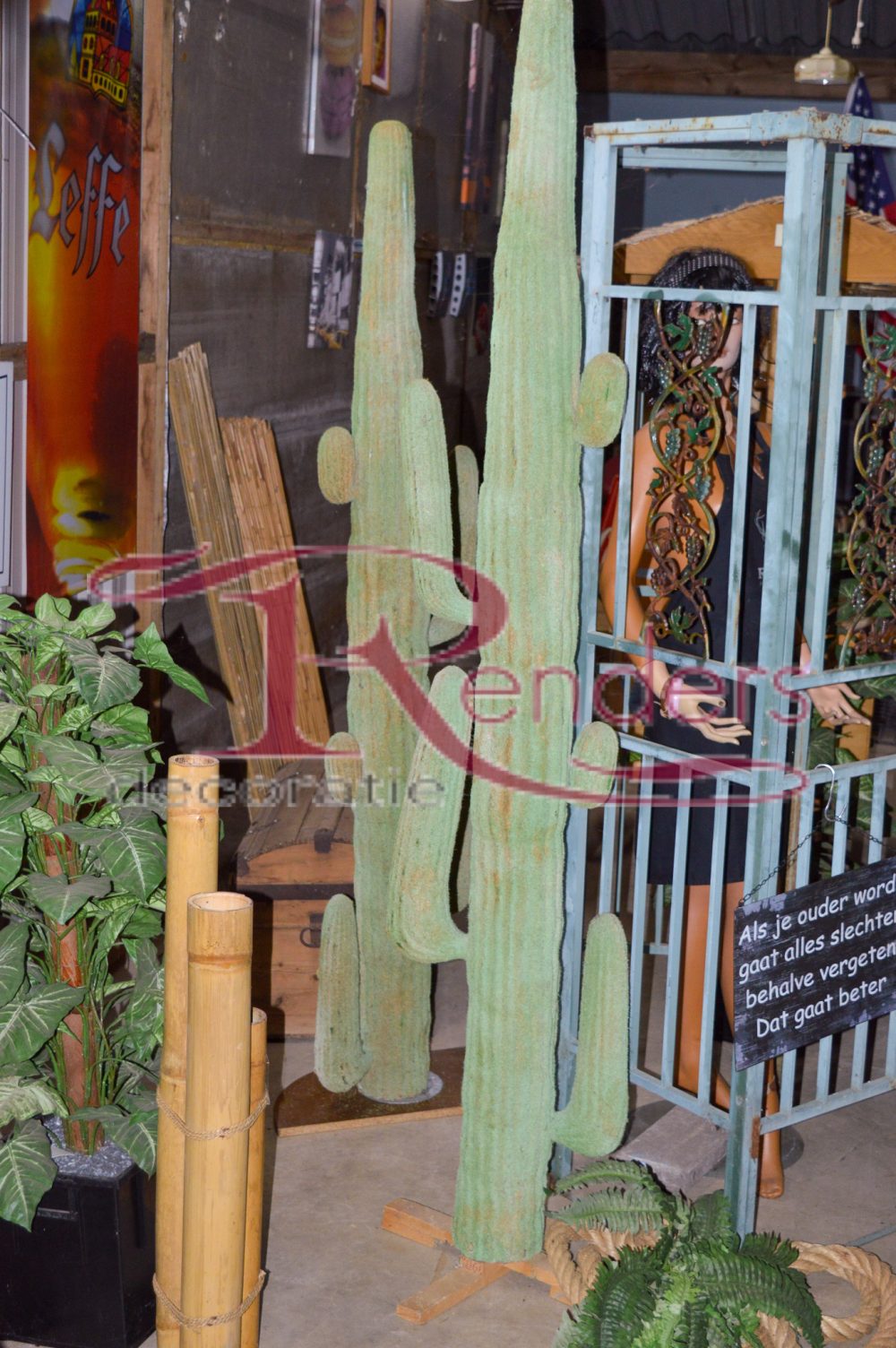 Decoratie Cactus