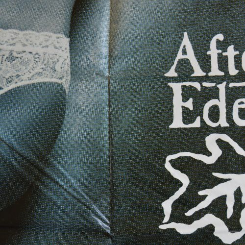 Billboard Poster After Eden Elbine